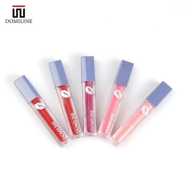Private Label Long Wearing Lip Gloss